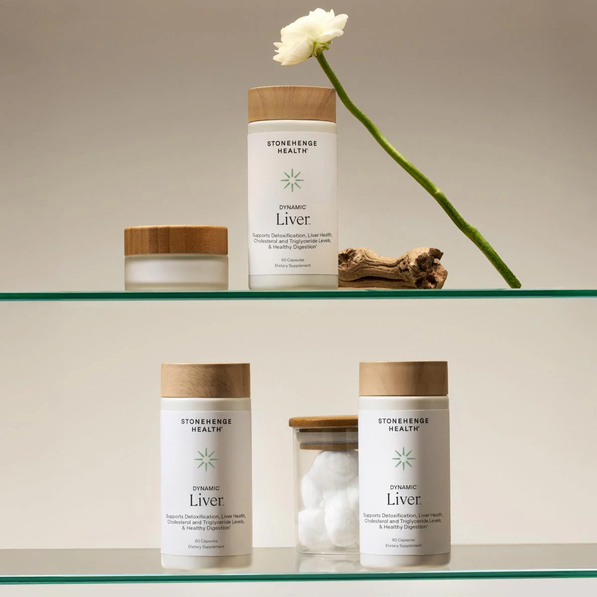 Dynamic Liver® - Image 6